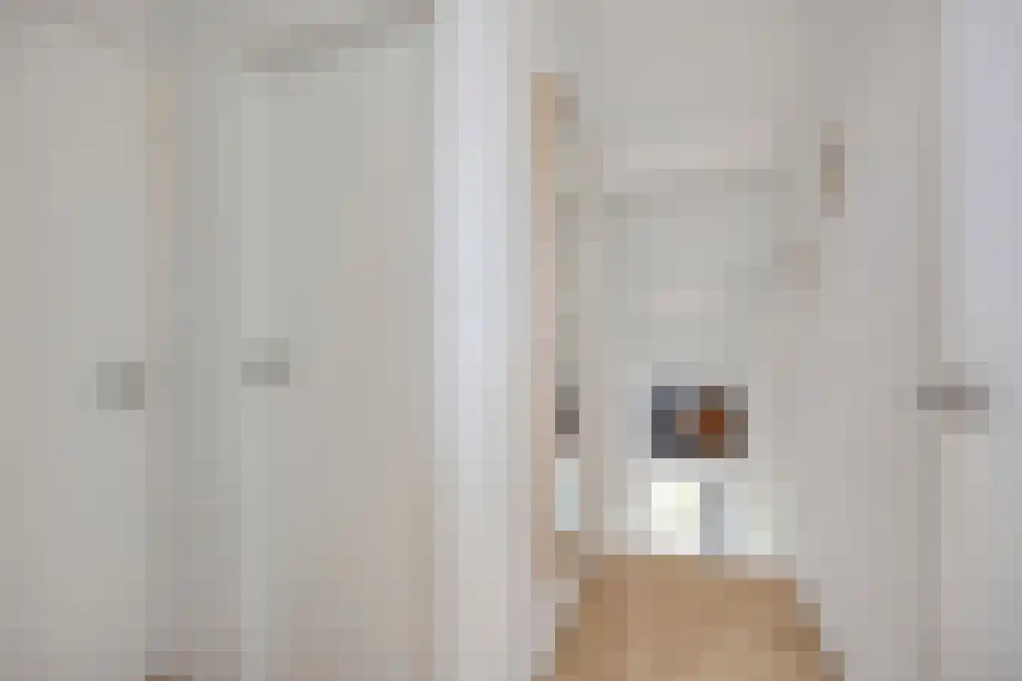Hoogerwerfsweg "De Tong" 91 Bruinisse thumbnail 10