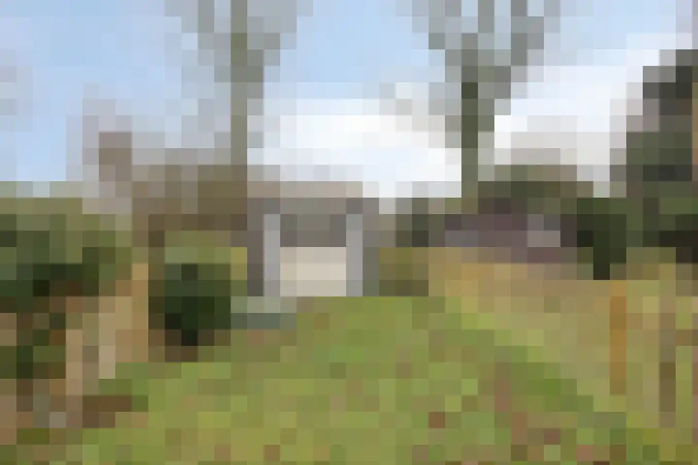 Hoogerwerfsweg "De Tong" 91 Bruinisse thumbnail 18