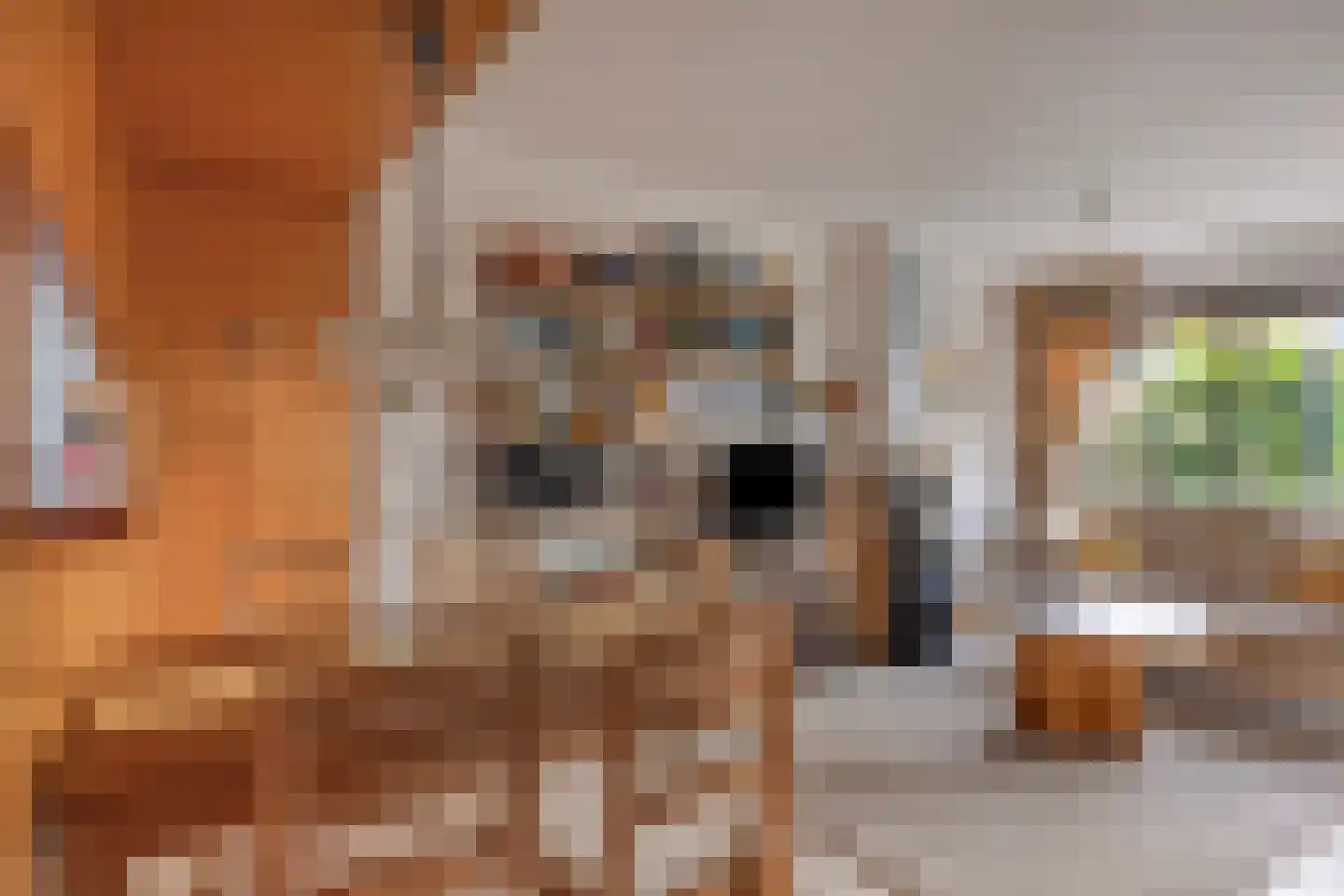 Hoogerwerfsweg "De Tong" 96 Bruinisse thumbnail 11