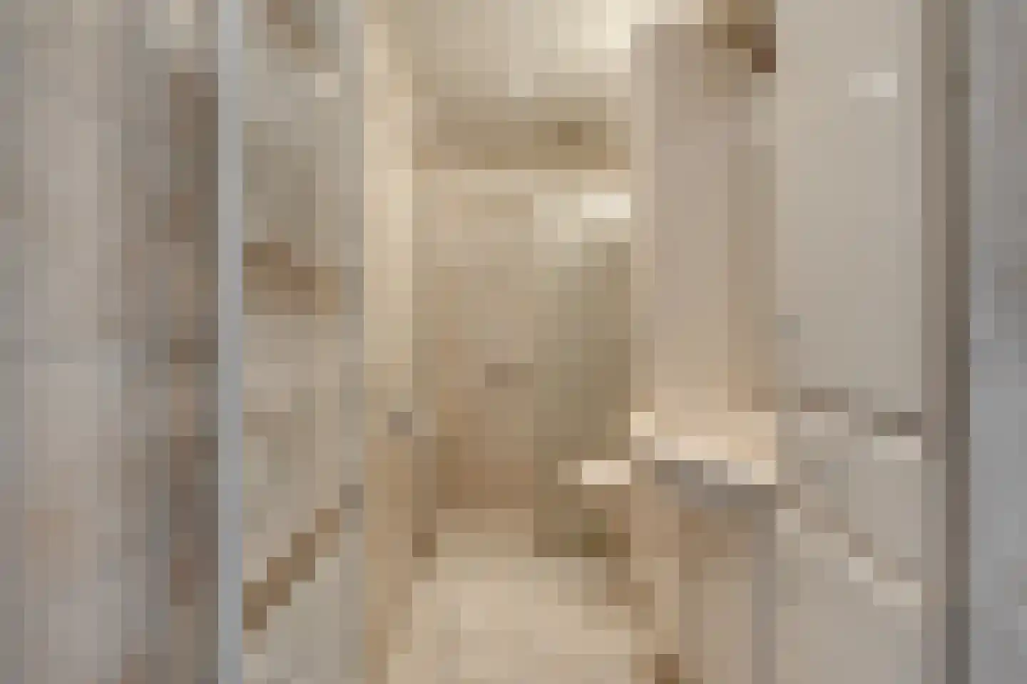 Hoogerwerfsweg "De Tong" 96 Bruinisse thumbnail 17