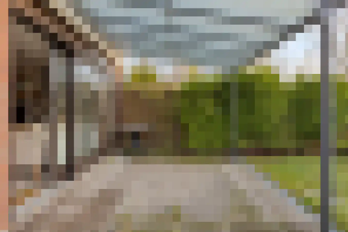 Hoogerwerfsweg "De Tong" 96 Bruinisse thumbnail 26