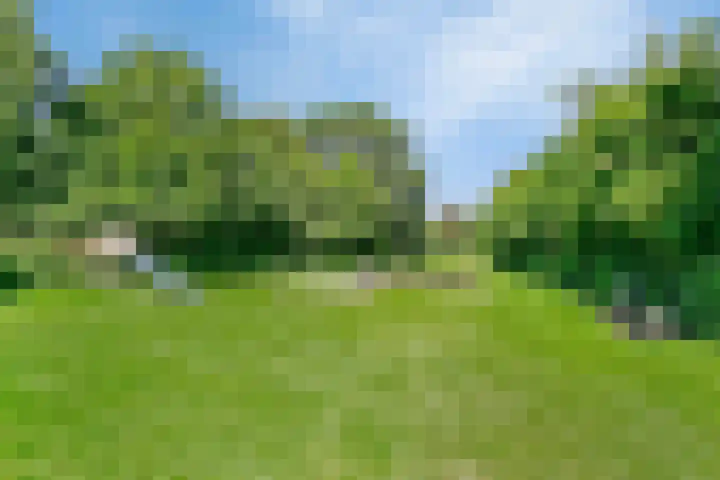 Hoogerwerfsweg "De Tong" 96 Bruinisse thumbnail 31