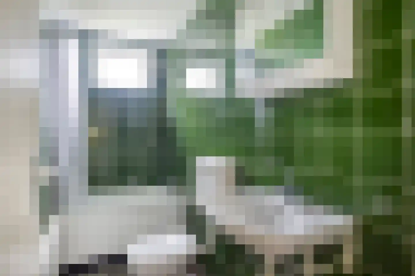 Hoogerwerfsweg "De Tong" 99 Bruinisse thumbnail 11