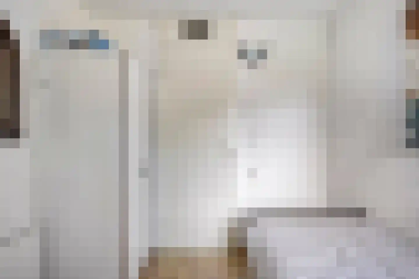 Hoogerwerfsweg "De Tong" 99 Bruinisse thumbnail 12