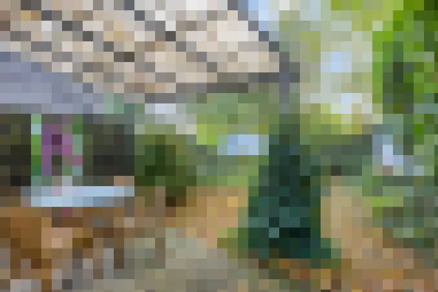 Hoogerwerfsweg "De Tong" 99 Bruinisse thumbnail 20