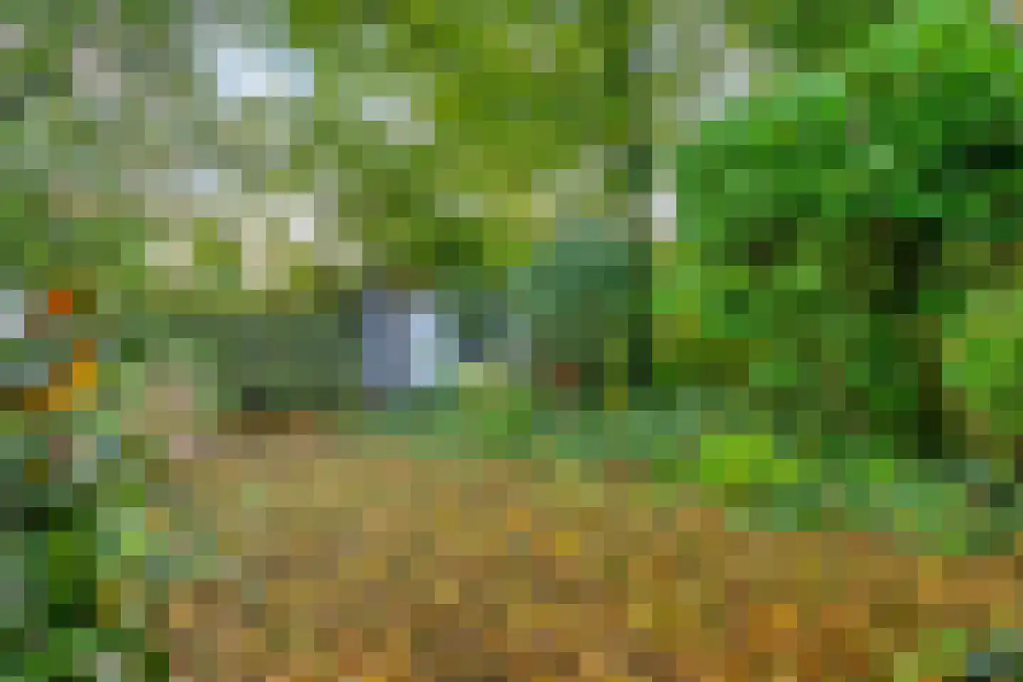 Hoogerwerfsweg "De Tong" 99 Bruinisse thumbnail 21