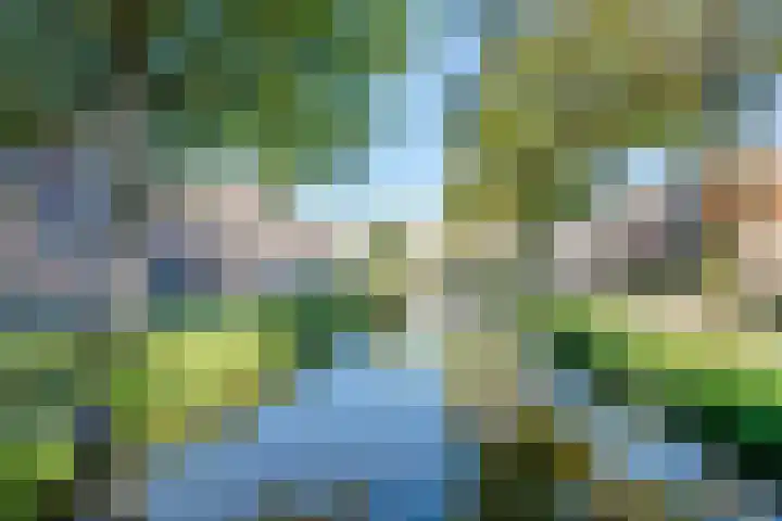 Hoogestraatje 33 Lochem thumbnail 21