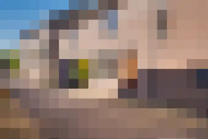 Hoogestraatje 33 Lochem thumbnail 22