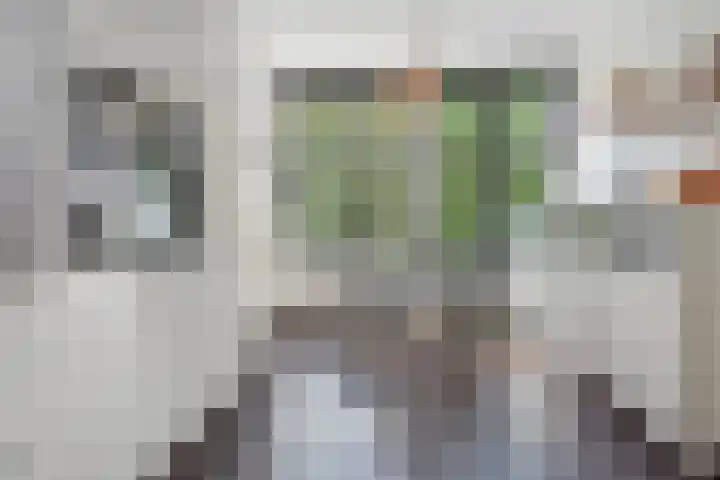 Hoogeveenlaan 2 C Den Haag thumbnail 12