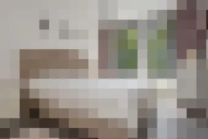 Hoogeveenlaan 2 C Den Haag thumbnail 17