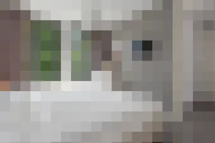Hoogeveenlaan 2 C Den Haag thumbnail 18