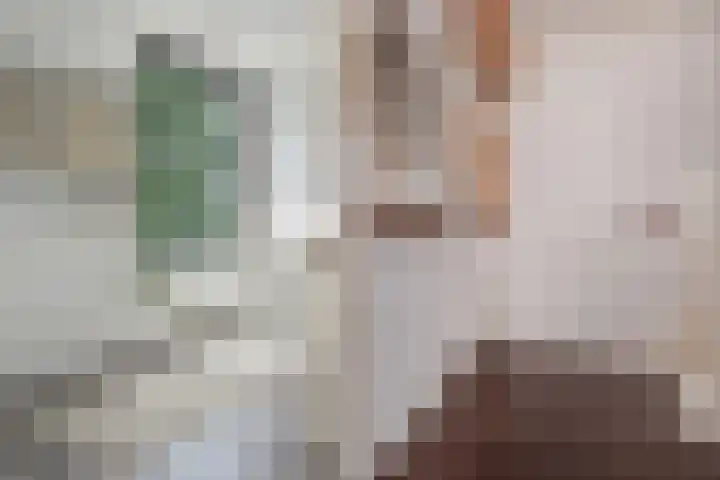 Hoogeveenlaan 2 C Den Haag thumbnail 19