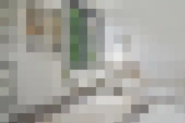 Hoogeveenlaan 2 C Den Haag thumbnail 21