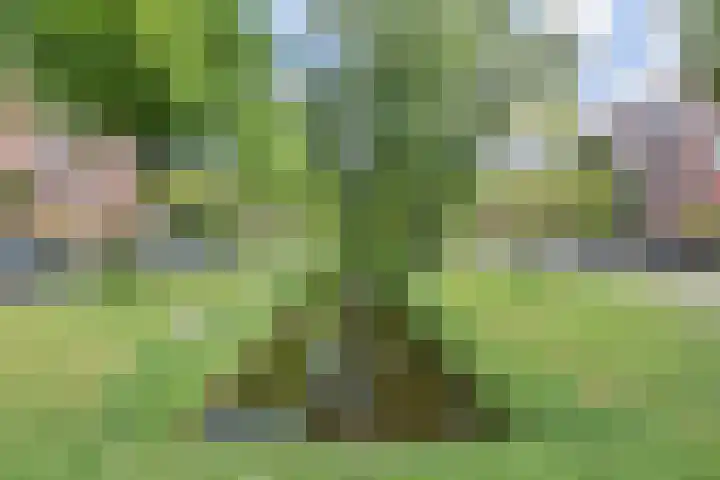 Hoogeveenlaan 2 C Den Haag thumbnail 24