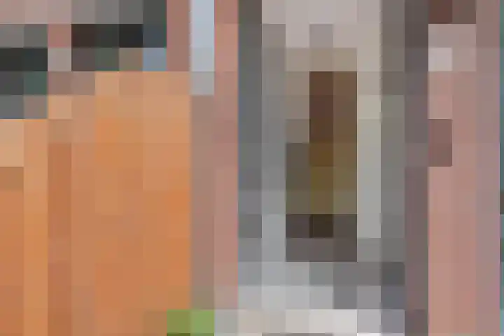 Hoogeveenlaan 2 C Den Haag thumbnail 5