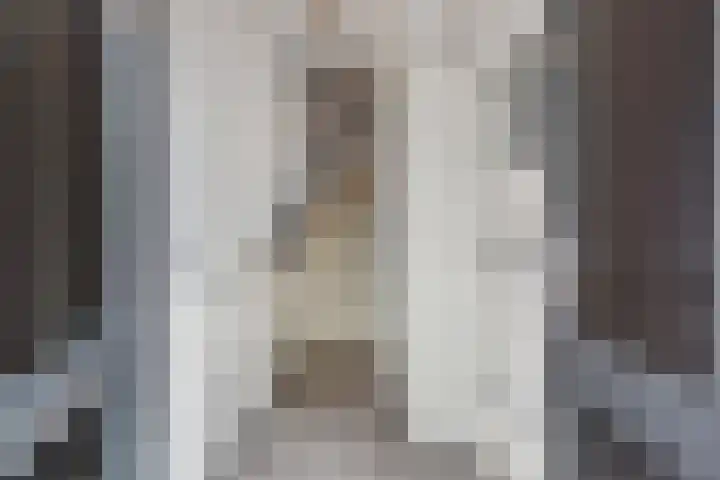 Hoogeveenlaan 2 C Den Haag thumbnail 6