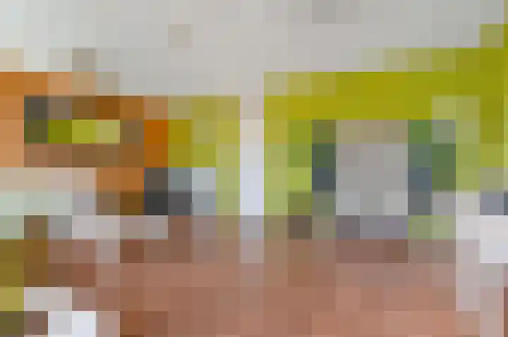 Hoogeveenlaan 2 D Den Haag thumbnail 10
