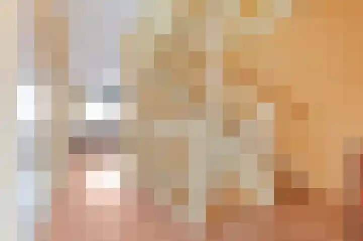 Hoogeveenlaan 2 D Den Haag thumbnail 17