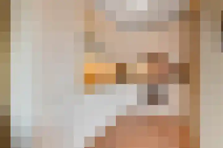 Hoogeveenlaan 2 D Den Haag thumbnail 20