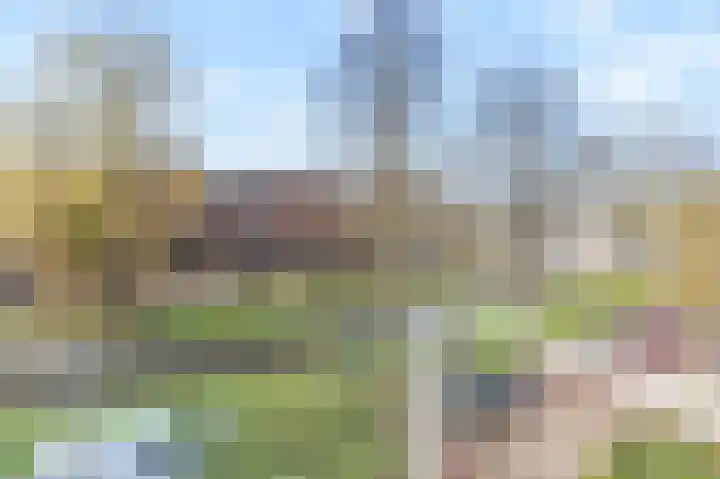 Hoogeveenlaan 2 D Den Haag thumbnail 30
