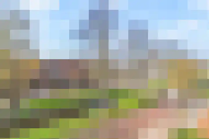 Hoogeveenlaan 2 D Den Haag thumbnail 32
