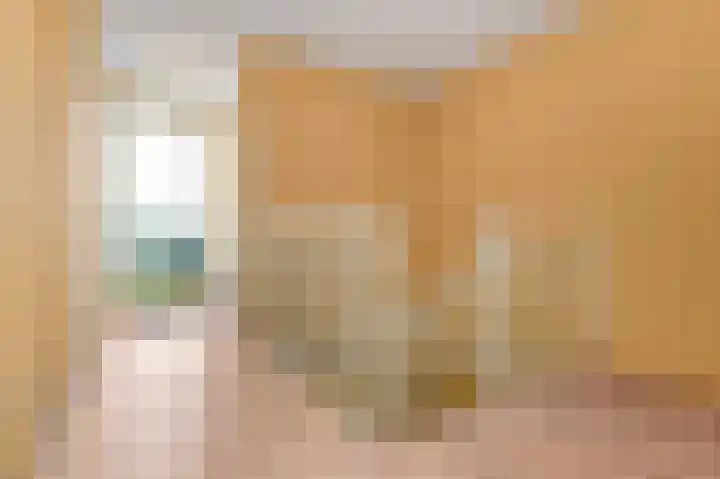 Hoogeveenlaan 2 D Den Haag thumbnail 34