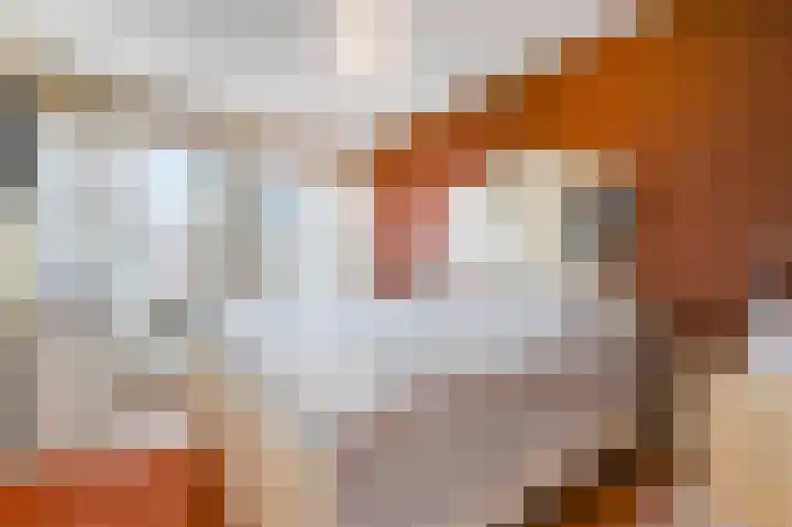 Hoogeveenlaan 2 D Den Haag thumbnail 37