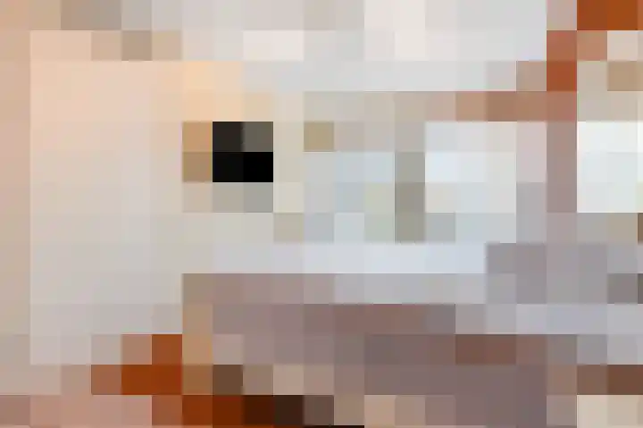 Hoogeveenlaan 2 D Den Haag thumbnail 38