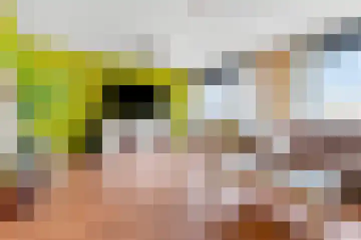 Hoogeveenlaan 2 D Den Haag thumbnail 8