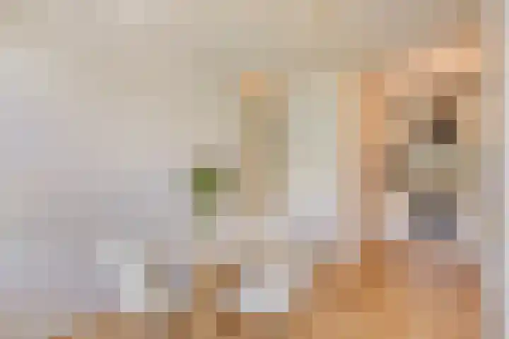 Hoogeveenlaan 3 Den Haag thumbnail 15