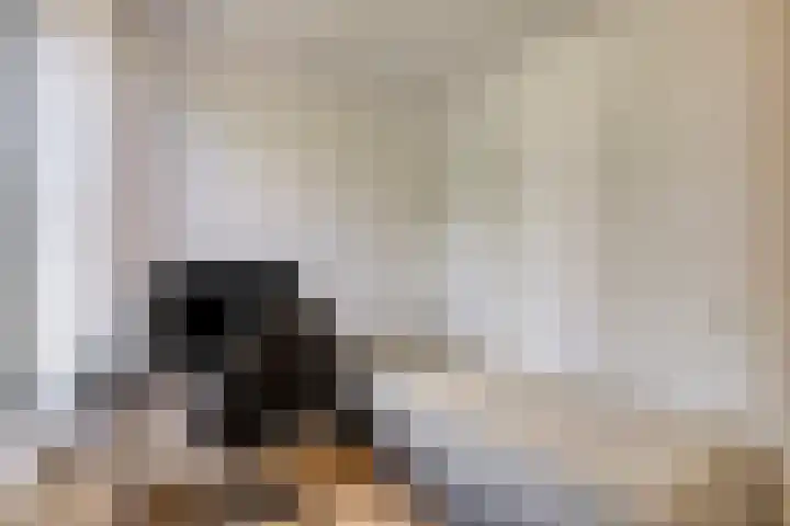 Hoogeveenlaan 3 Den Haag thumbnail 18