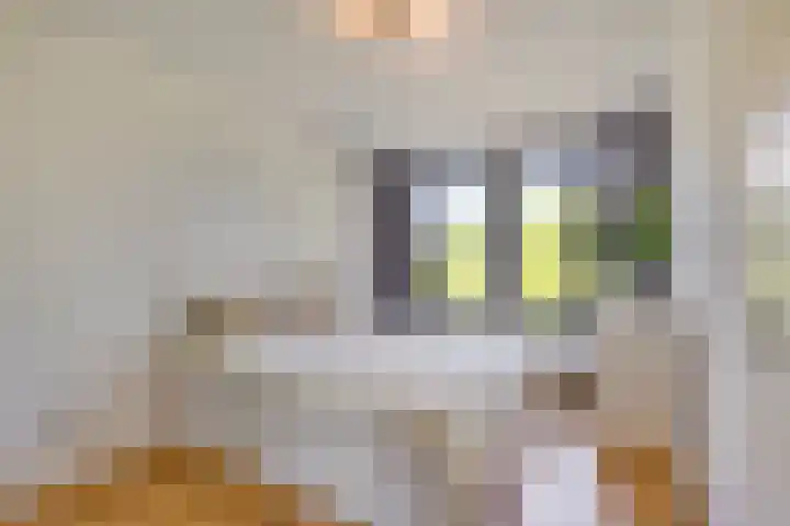 Hoogeveenlaan 3 Den Haag thumbnail 20