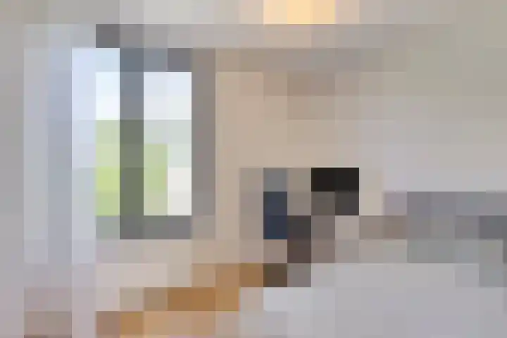 Hoogeveenlaan 3 Den Haag thumbnail 22