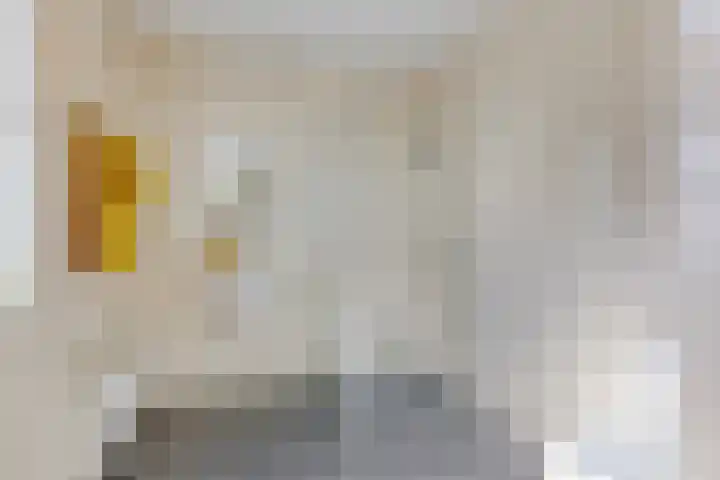 Hoogeveenlaan 3 Den Haag thumbnail 23
