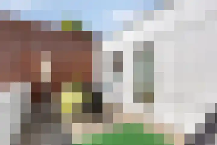 Hoogeveenlaan 3 Den Haag thumbnail 26