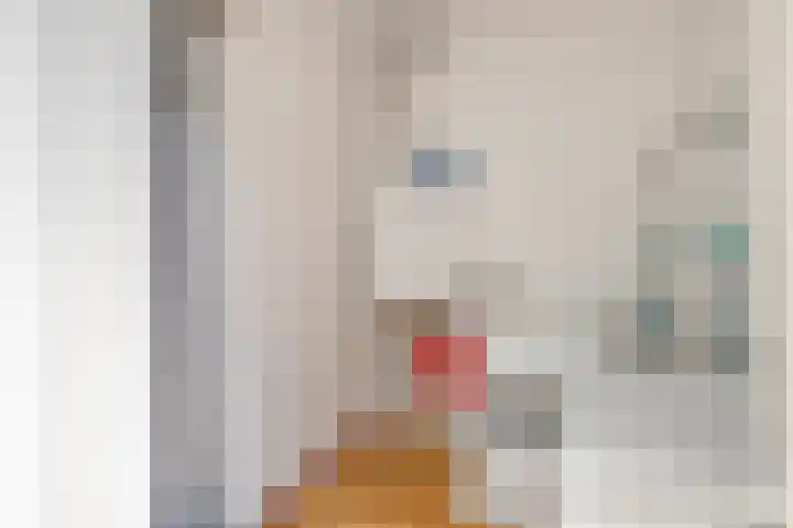 Hoogeveenlaan 3 Den Haag thumbnail 27