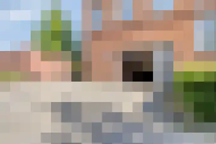 Hoogeveenlaan 3 Den Haag thumbnail 29