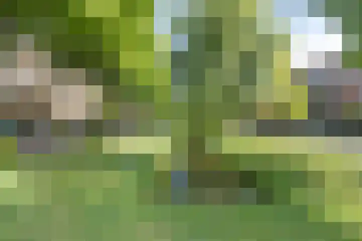 Hoogeveenlaan 3 Den Haag thumbnail 31
