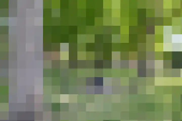 Hoogeveenlaan 3 Den Haag thumbnail 32