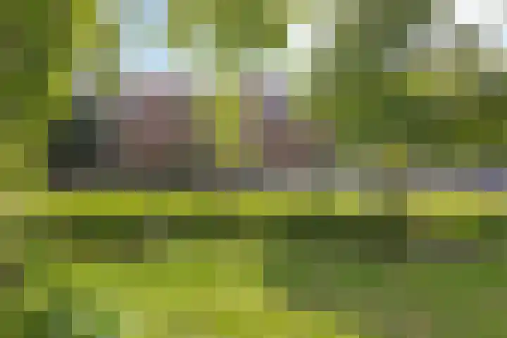 Hoogeveenlaan 3 Den Haag thumbnail 44