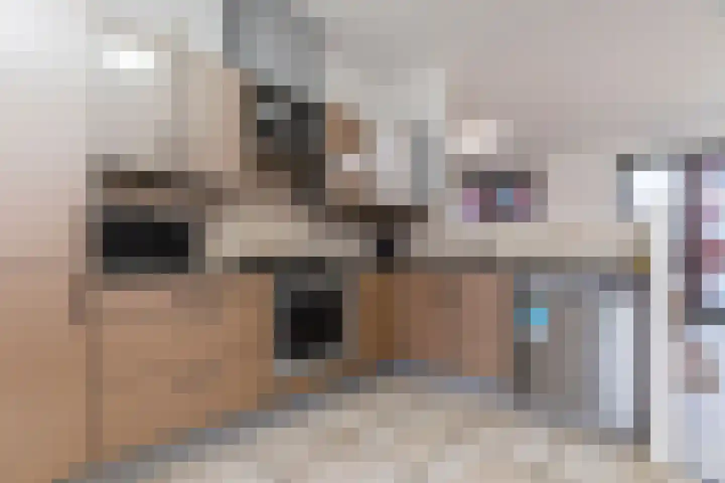 Hoogeveenlaan 6 B Den Haag thumbnail 14