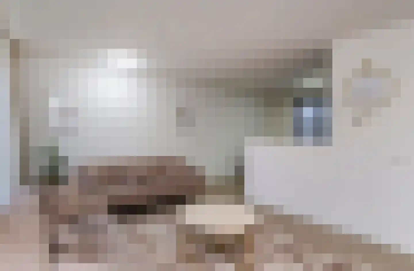 Hoogeveenlaan 6 B Den Haag thumbnail 6