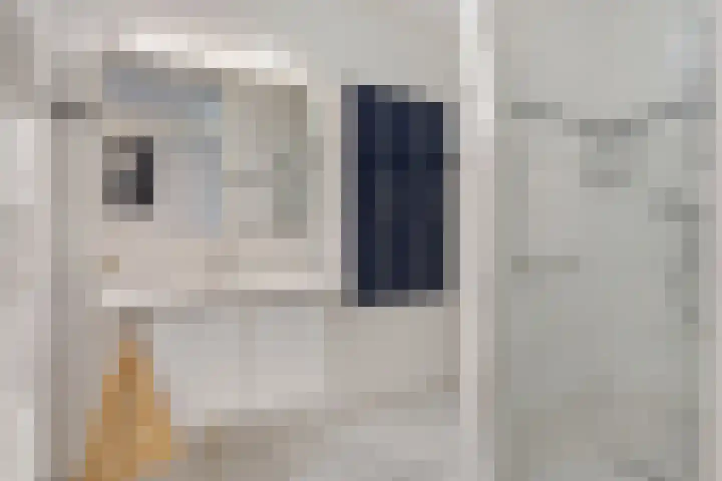 Hoogeveenlaan 6 E Den Haag thumbnail 40