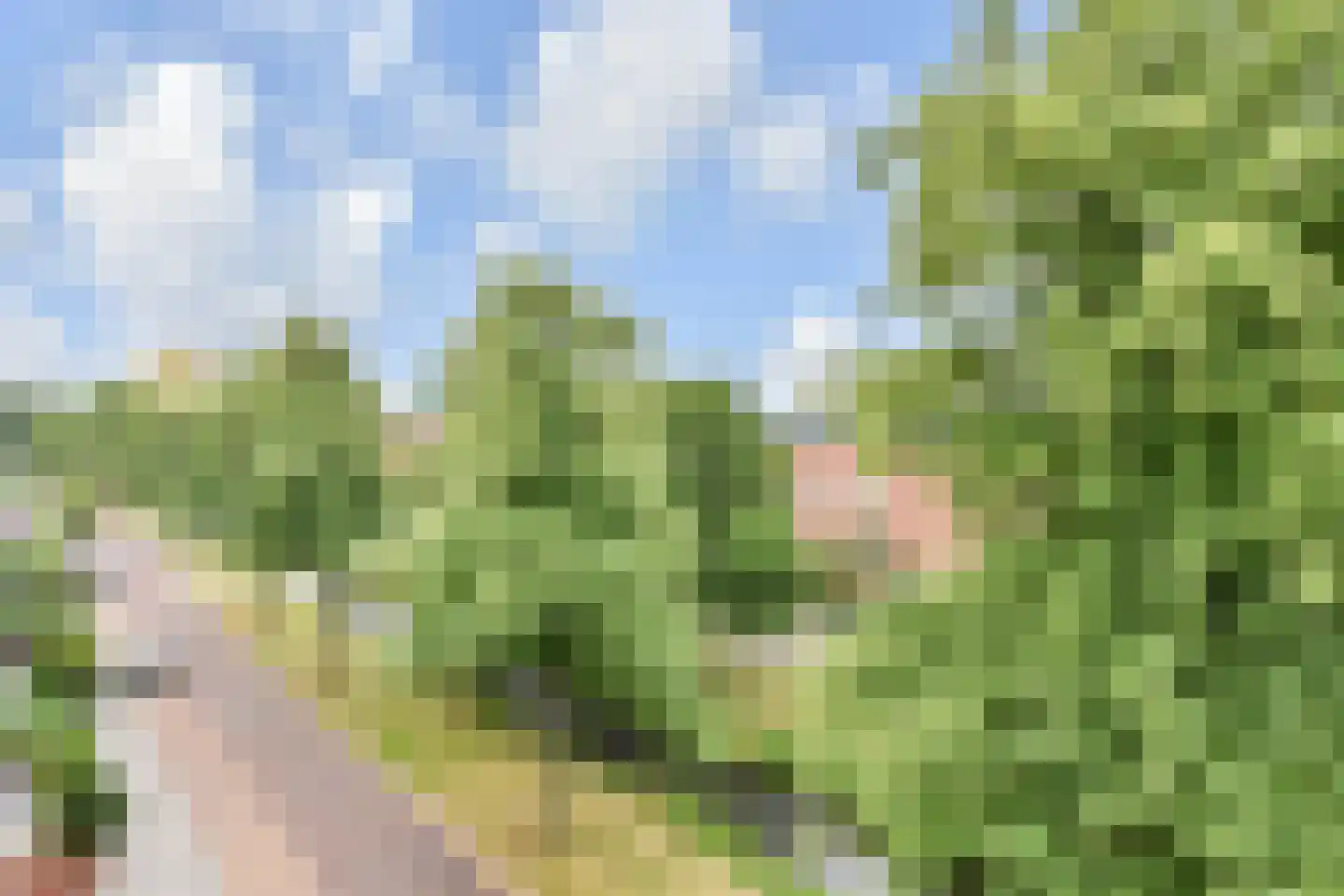 Hoogeveenlaan 8 D Den Haag thumbnail 24