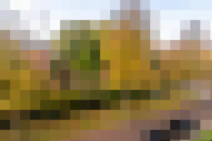 Hoogeveenlaan 8 H Den Haag thumbnail 17