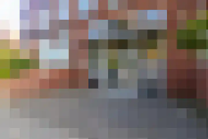 Hoogeveenlaan 8 H Den Haag thumbnail 26