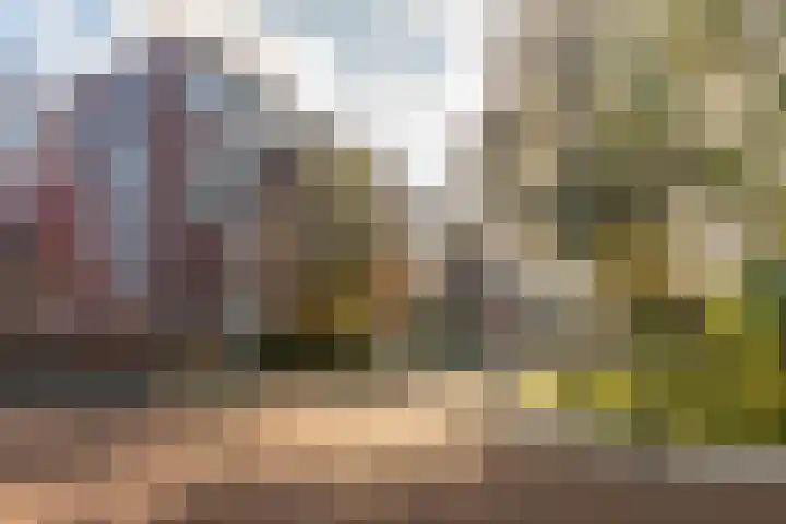 Hoogeveenlaan 8 H Den Haag thumbnail 30