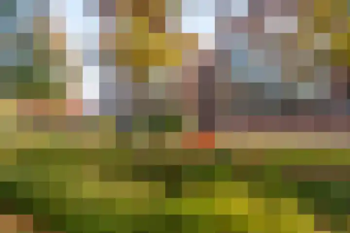 Hoogeveenlaan 8 H Den Haag thumbnail 31