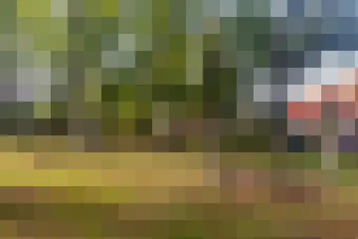 Hoogeveenlaan 8 H Den Haag thumbnail 32