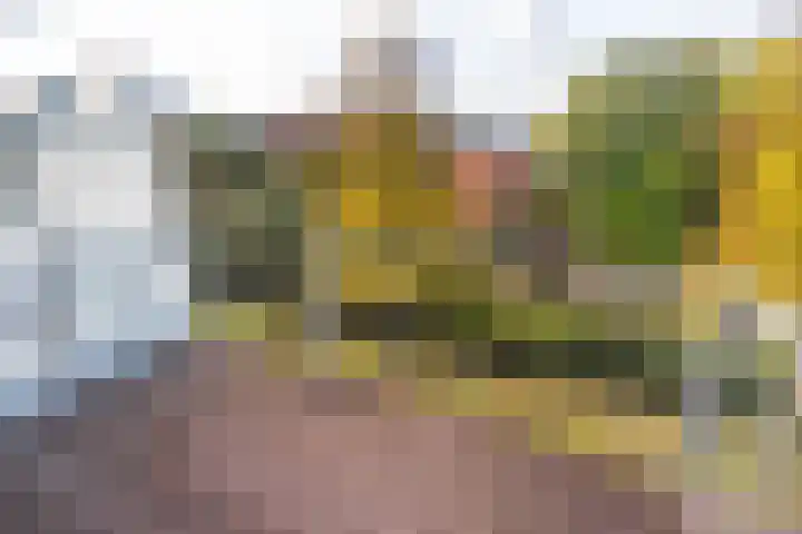 Hoogeveenlaan 8 H Den Haag thumbnail 4